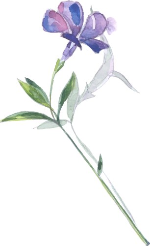 Minor Vector Images (over 7,400)