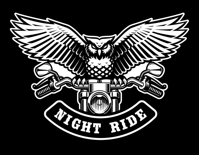 Night owl on a motorcycle steering wheel Vector Image