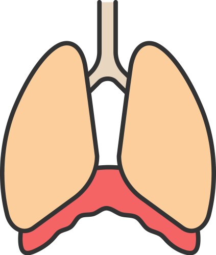 Thoracic Vector Images (over 880)