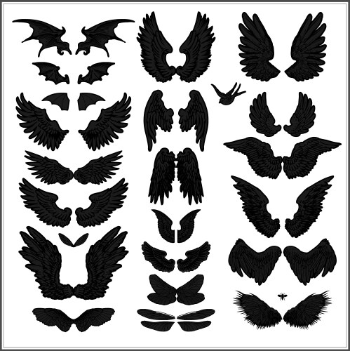 Wing Vector Images (over 480,000)