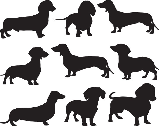 Dachshund Silhouette - Dog Breed Vector Image