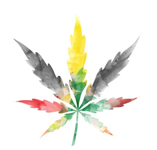 jamaican watercolor marijuana leaf isolated vector