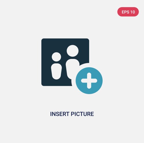 Two color insert picture icon from user interface vector image