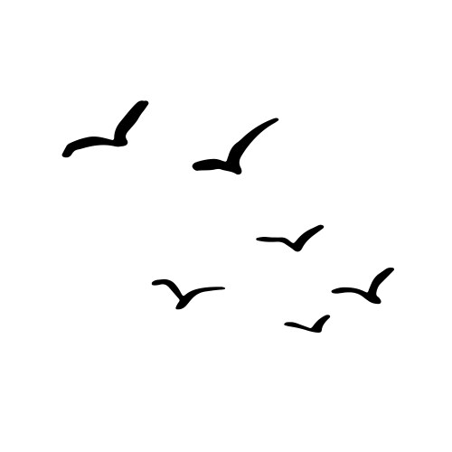 Flying flock of birds hand drawn brush Vector Image