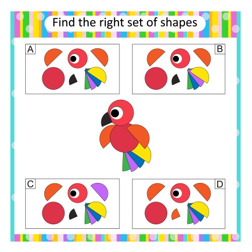 Find the correct set of cartoon parrot vector image