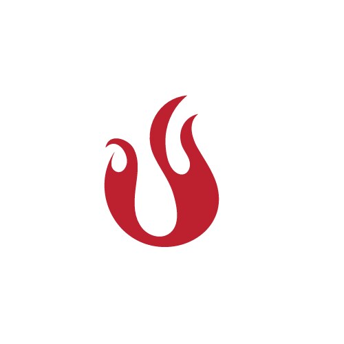 Fire flame design template Royalty Free Vector Image