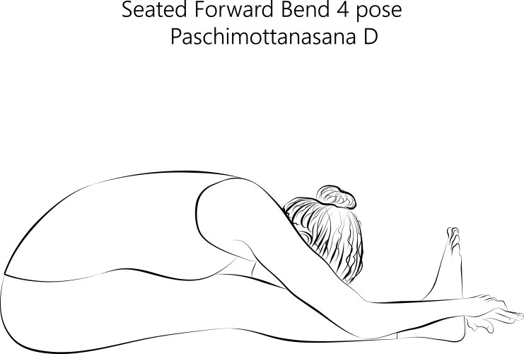 Sketch paschimottanasana d Vector Image