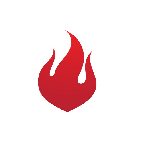 Fire flame design template Royalty Free Vector Image