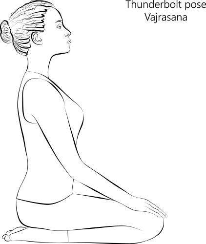 Sketch vajrasana Vector Image