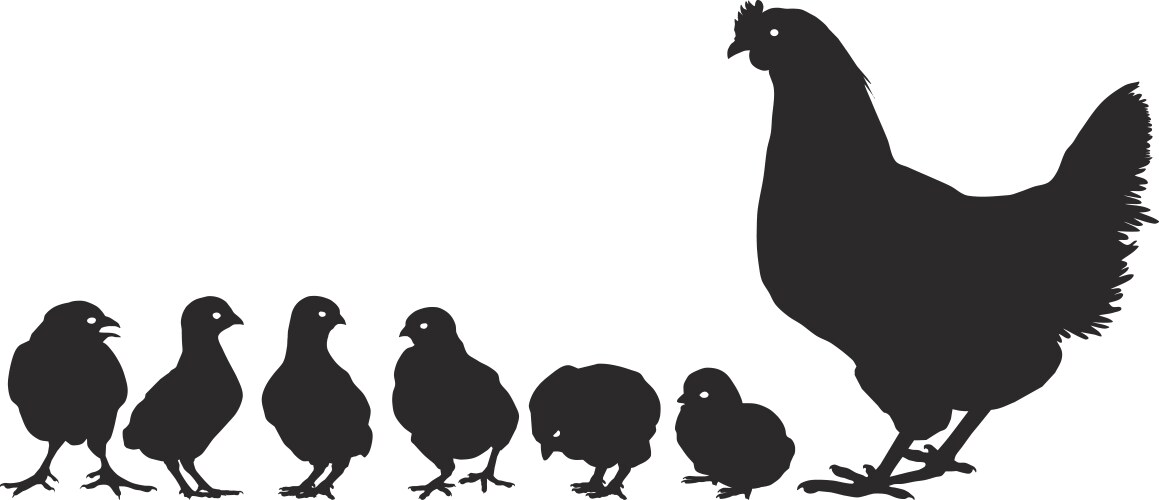 Chicken Vector Images (over 220,000)