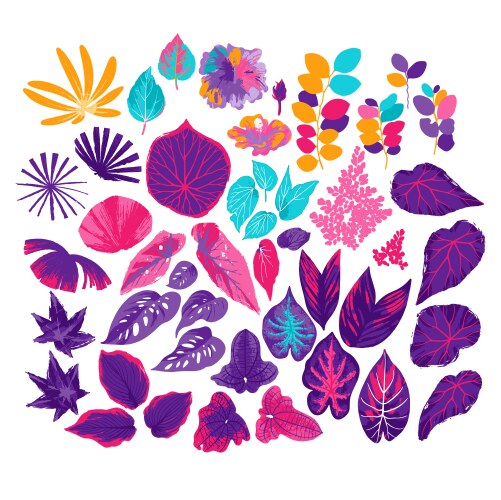 Collection of different exotic leaves drawn vector image