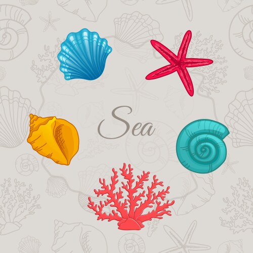Set of colorful seashells with seamless pattern vector image