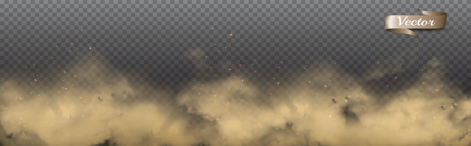 Transparent Dust Clouds Vector Image