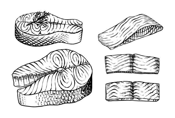 Fish Outline Vector Images (over 110,000)