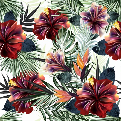 Tropical Hibiscus Pattern Vector Image