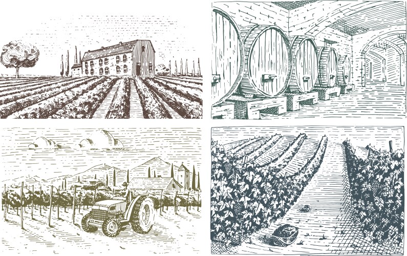Vintage engraved hand drawn vineyards landscape Vector Image