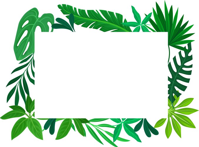 Jungle frame Royalty Free Vector Image - VectorStock
