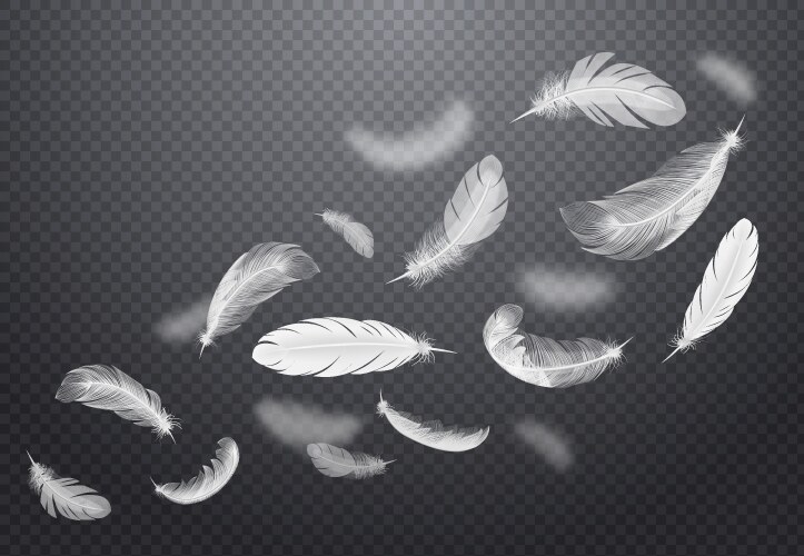 Realistic white feathers Royalty Free Vector Image