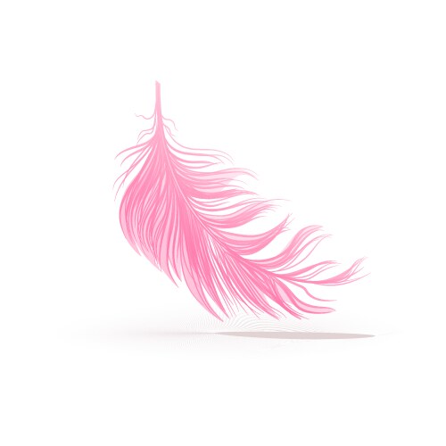 Pink Swirled Feather Detail Vector Image