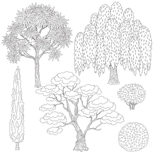 Tree Outlines Collection Vector Image