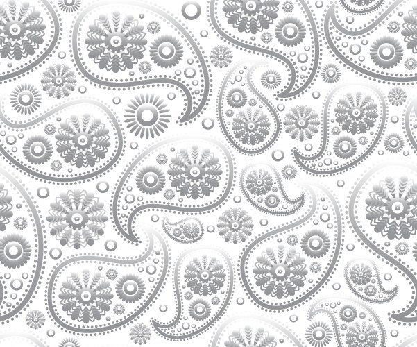 Paisley pattern vector image