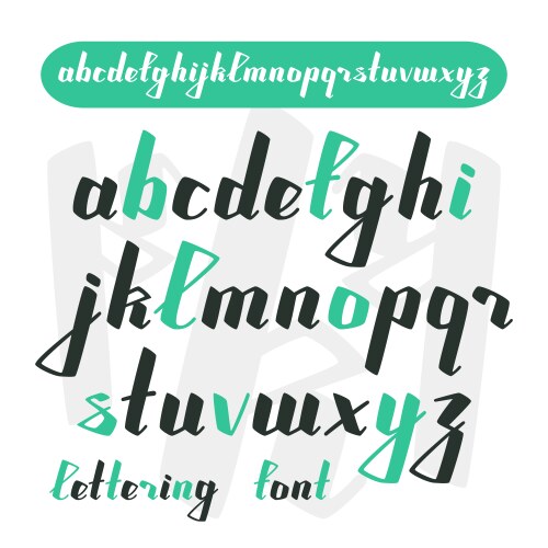 Calligraphic Script Font - Retro Style vector image