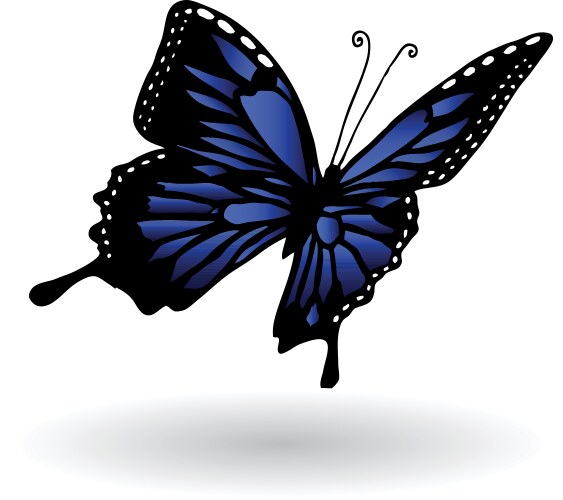 Blue Butterfly Background Vector Images (over 16,000)