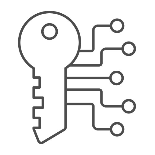 Digital key with network thin line icon web vector image