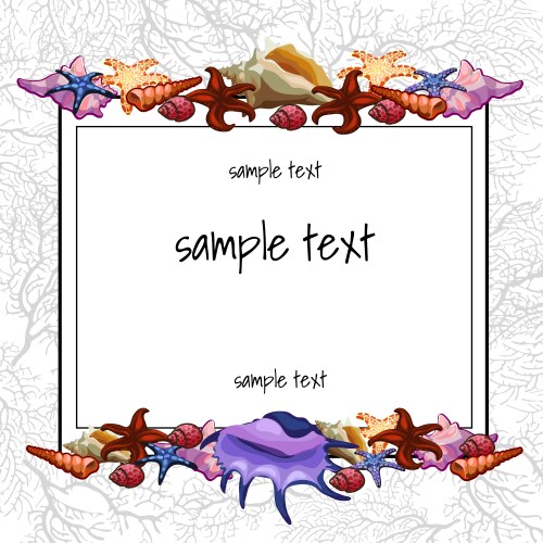 Shells and shellfish of the text frame vector image