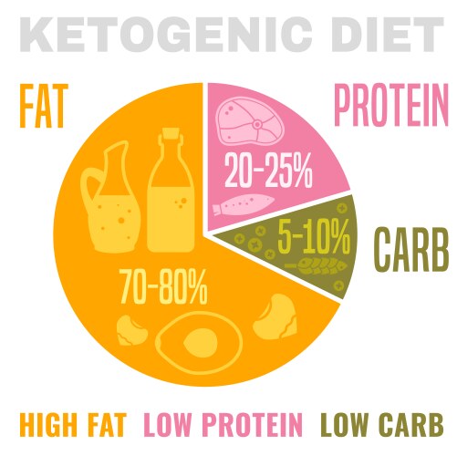 Low carbohydrate diet vector image