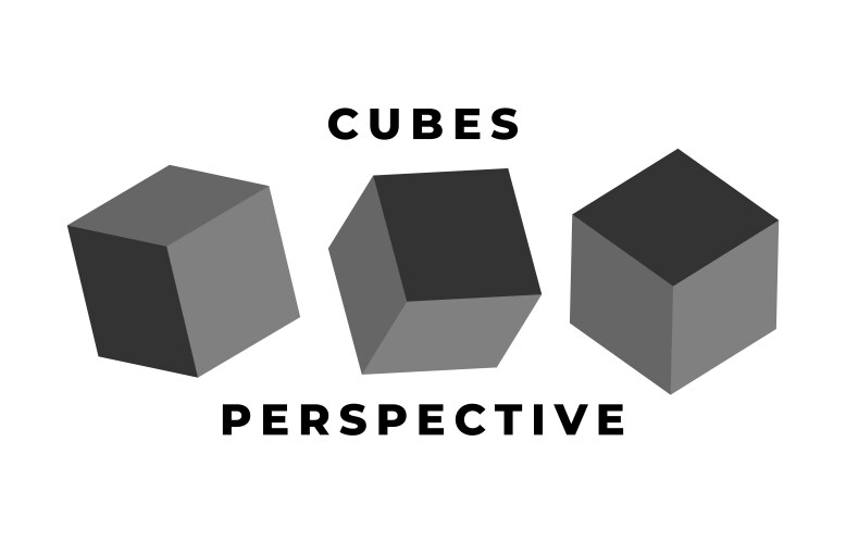 Cube icon set with perspective 3d model a vector image