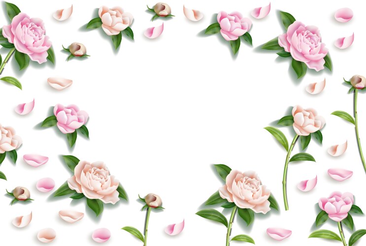 Luxurious color peony background Royalty Free Vector Image
