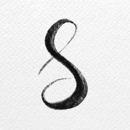 Letter calligraphic s lowercase typography vector image