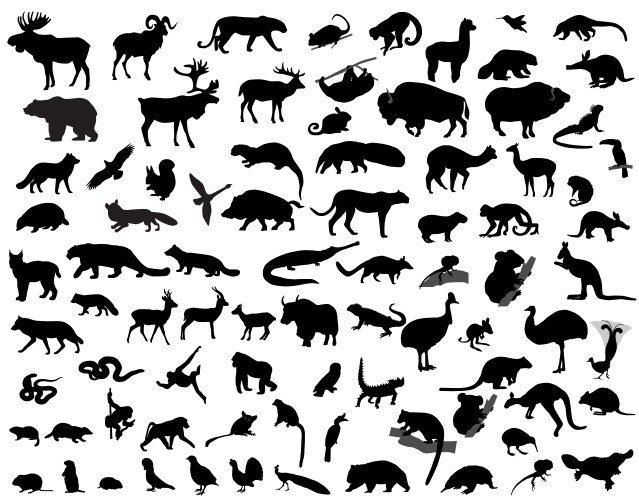Animal Silhouettes Vector Image
