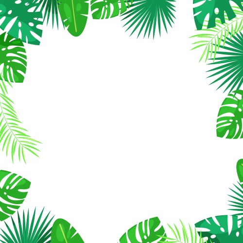 Tropical palm leaves square frame white Vector Image
