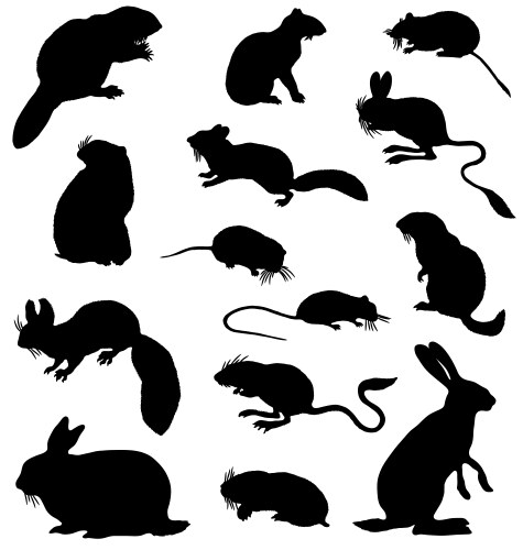 Rodent Silhouettes Vector Image