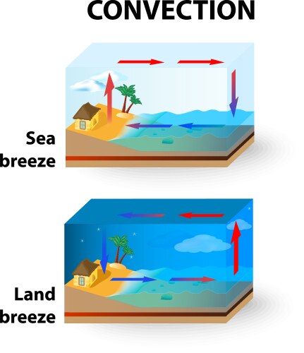 Sea Breeze and Land Convection Vector Image