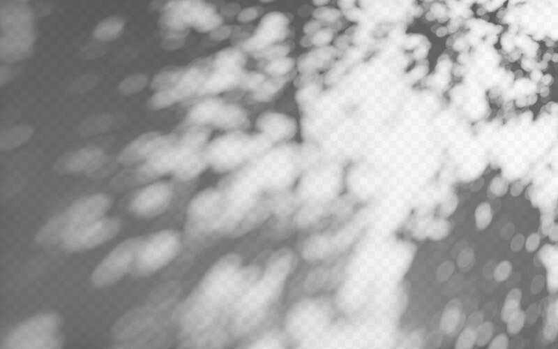 Abstract shadow overlay from tree branch vector image