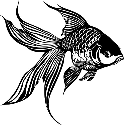 Free Goldfish Vector Images Over 670 Free Goldfish Vector Images Over 670