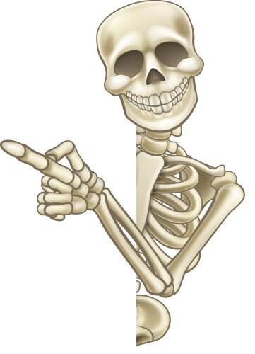 Skeleton cartoon peeking round sign and pointing vector image