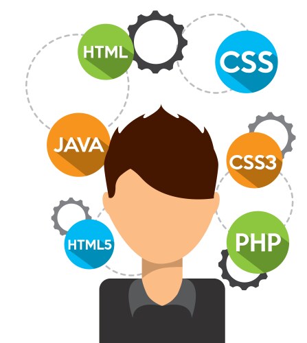 Software programmer vector image