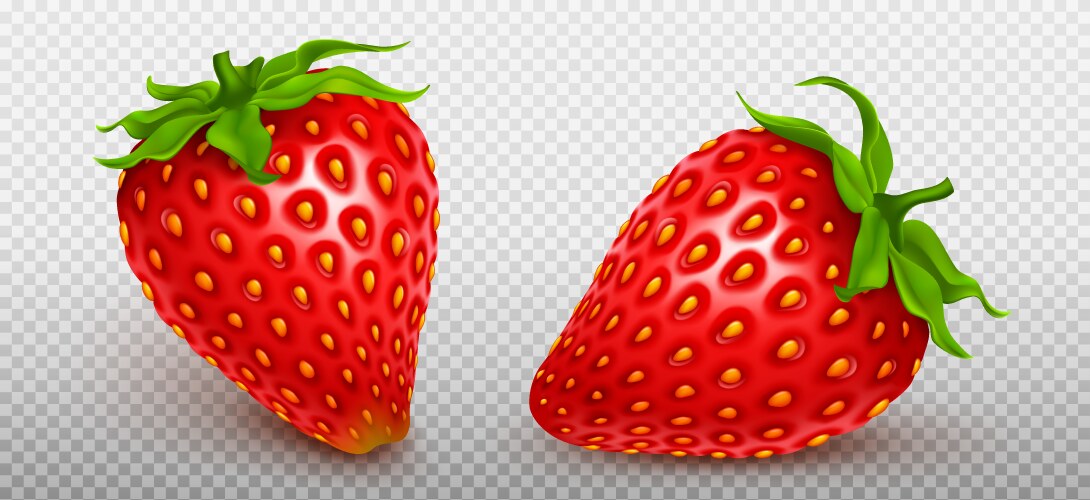 3d realistic strawberries fresh red fruit vector image