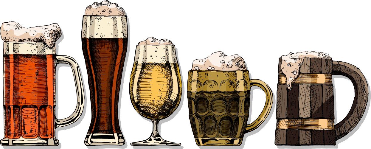 Beer set Royalty Free Vector Image - VectorStock