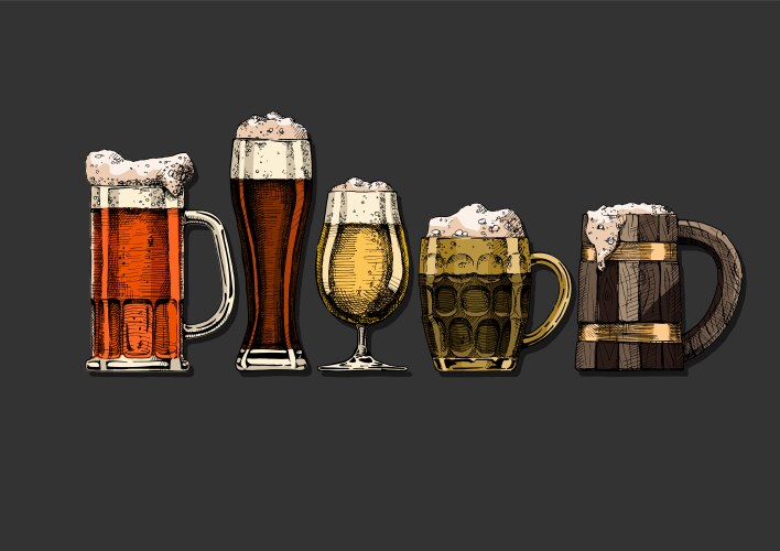 Beer set Royalty Free Vector Image - VectorStock