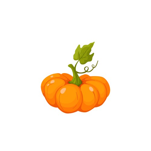 Ripe Pumpkin Icon Vector Image