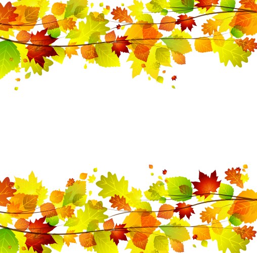 Branch with fresh green leaves Royalty Free Vector Image