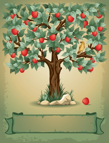 Apple tree Royalty Free Vector Image - VectorStock