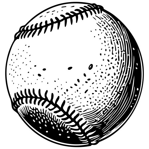 Softball sketch realistic line monochrome drawing Vector Image