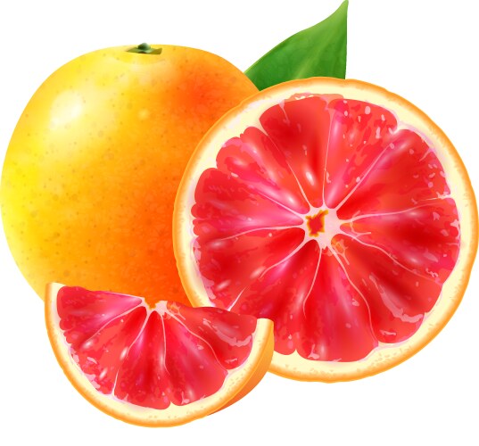 Realistic passion fruit Royalty Free Vector Image