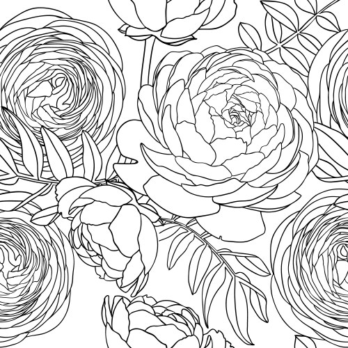 Line art ranunculus background abstract vector image